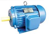 Le2 ISO9001 Y Series Three Phase Motor