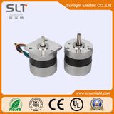 High Voltage BLDC Brushless DC Motor with Factory Price