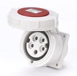 32A 3P+N+PE IP67 Panel mounted socket (MN3532)