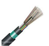 GYFTY53 Armored Stranded Loose Tube FRP Strengthen Member Fiber Cable