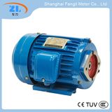 Yqb Series Three Phase Asynchronous Motors for Oil Pumps.
