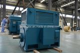 12-Pole 500r/Min Pm Motor
