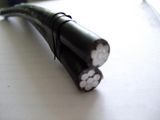 ABC Cable 0.6/1kv (1X16+16mm2) Caai