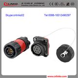 High Quality Pin Connector/Plug Connector/Data Connector for LED