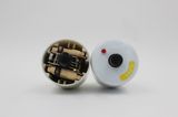 Hot Selling High Precision S101 Screw-Type Mini Circuit Breaker/MCB