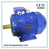 Electric AC Premium Efficiency Motor