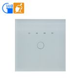 Smart Wall Timer Touch Switch