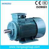 Ye2 200kw Cast Iron Induction Three Phase Electric Motor