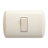 South Americ 1gang1way Electric Wall Switch