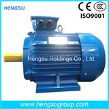 Ye2 3 Phase Electric and Induction Cast Iron Motor