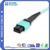 MTP/MPO Om3 12cores Fiber Optic Patchcord
