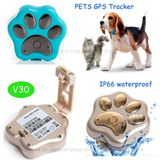 IP66 Waterproof Pets GPS Smart Tracker with Andriod&Ios APP V30