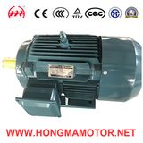 GOST Series/GOST Standard Three -Phase Asynchronous Motor with IEC