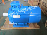 Industrial Use Three Phase Y2 Series Asychronous Electric Motor with 100% Pure Copper Wire
