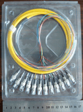 12 Core FC Fiber Optic Pigtail