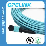 MPO/MTP FTTH Fiber Optical Patch Cord for Qsfp-Qsfp Fiber Optic Data Transmission