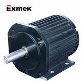 130mm DC Brushless Motor with 48V 942W (ME130AS300)