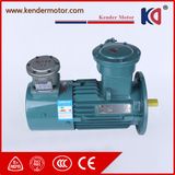 Explosion Proof Induction Variable Frequency Drive AC Motor
