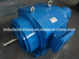Low Voltage Slip Ring Induction AC Motor for Crane with Ce CCC ISO9001