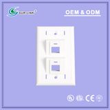 120 Type Inclined 45 Degree 2 Port Faceplate
