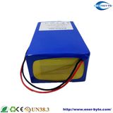 24 Volt Electric Scooter Lithium Battery
