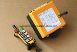Factory Price Crane Radio Remote Control F21-6D