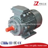 380V Multi Speed Three Phase Induction Motor, 4/2 Pole, 6/4 Pole, 8/4 Pole