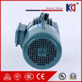 Embr AC Brake Induction Motor with High Efficiency