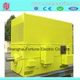 Ykk IC611 1000kw 3 Phase Induction AC Motor