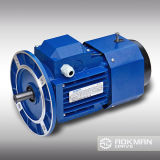 China Best Selling AC Motor with Brake