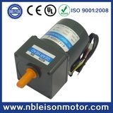 25W 110V 220V 100rpm 300rpm 500rpm Small AC Geared Motor