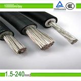 TUV DC Tinned Copper Solar Photovoltaic Cable Wire 2.5mm2 6mm2
