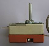E Type Wkr11 Capillary Thermostat Switch Regulator