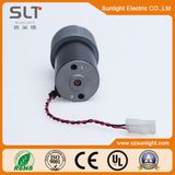 24V Brushless Electric Motor for Car