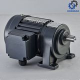 Horizonal Type Brake Gear Electric Motor with Light Duty for Grouter -E