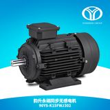 AC Permanent Magnet Synchronous Motor (2.2kw 3000rpm)
