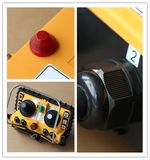 Industrial Joystick Wireless Crane Remote Controller (F24-60)