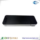 Silver Apple 48V 8ah Lithium Ion Battery for E-Bike