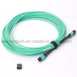 10m 40g Om3 Fiber MPO/MTP Patch Cord for Qsfp+