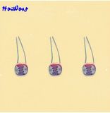 Fast Response Dia. 5mm Photoconductive Resistor Sensor (HW-MJ55 series)