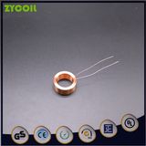 Bobbinless Inductive Motor Magnetizing Coil