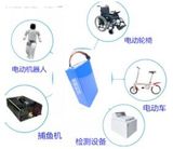 24V 60ah Rechargeable LiFePO4 Battery Pack for E-Vehicle