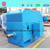 3 Phase AC Induction Motor