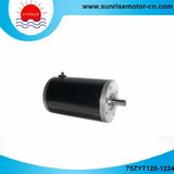 75zyt120-1224 Brushed Motor/DC Motor Electric Motor