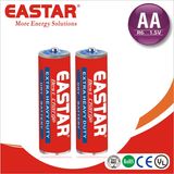 AA Size Carbon Battery