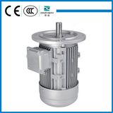 MS Series Three Phase Induction Motor with Aluminium Body