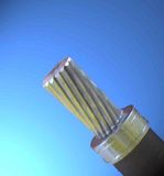 High Quality Covered Line Wire with ASTM Standard Overhead Conductor PE/XLPE Insulated Cable