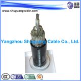 Al Screened/PE Insulated/PVC Sheathed/Armoured/Computer/Instrument Cable