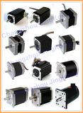 Stepper Motor From NEMA8~NEMA42 with High Quality and Competitive Price