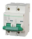Miniature Circuit Breaker 2p Dz47-100h